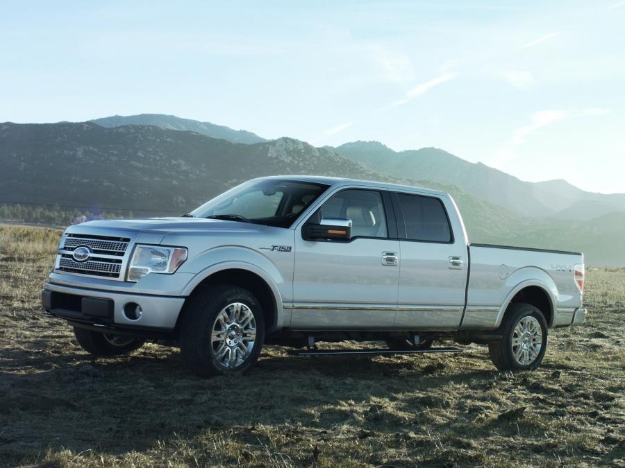  Ford F-150 Platinum 2008 года  (фото 18 из 19)